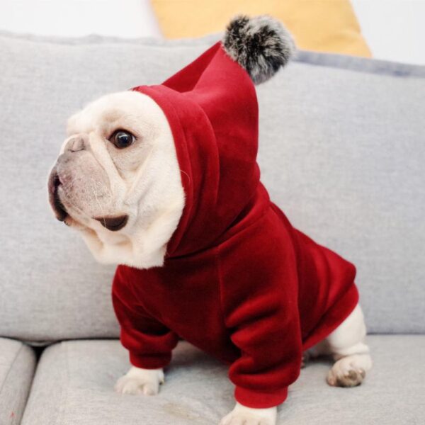 Frenchie World Shop Red / S Velvet French Bulldog Pom Hoodie in Red