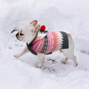 Frenchie World Shop Pink / 2XL Vibrant Hooded French Bulldog Sweater