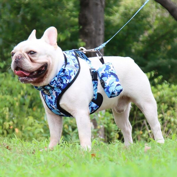 Frenchie World Shop Vivid Camouflage French Bulldog Harness, Collar and Leash Set