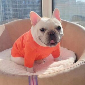 Frenchie World Shop Warm & Cozy French Bulldog Sweater