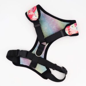 Frenchie World Shop Watermelon 4 in 1 Collar and Harness Set