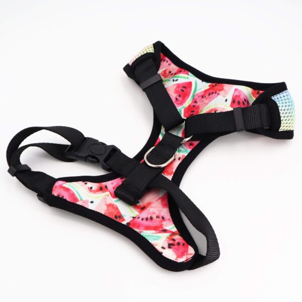 Frenchie World Shop Watermelon 4 in 1 Collar and Harness Set