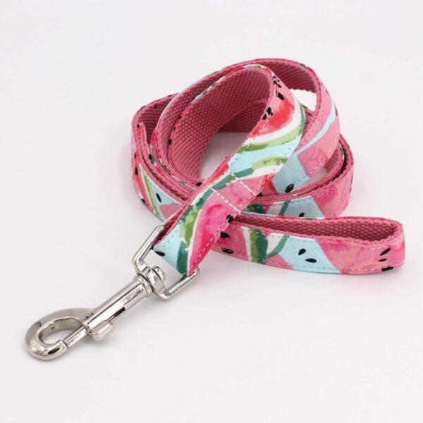 Frenchie World Shop Watermelon 4 in 1 Collar and Harness Set