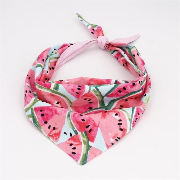 Frenchie World Shop Watermelon 4 in 1 Collar and Harness Set