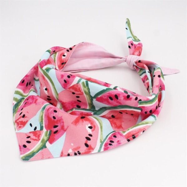 Frenchie World Shop bandana / XS Watermelon 4 in 1 Collar and Harness Set