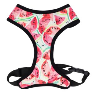 Frenchie World Shop harness / XS Watermelon 4 in 1 Collar and Harness Set