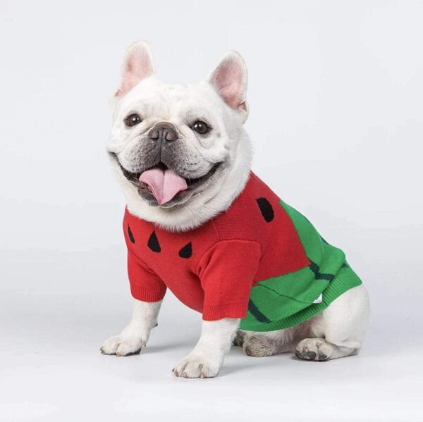 Frenchie World Shop Watermelon French Bulldog Sweater
