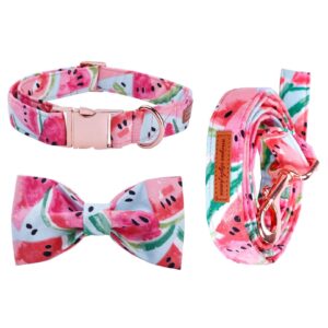 Frenchie World Shop Watermelon Printed Collar, Leash & Bowtie Set