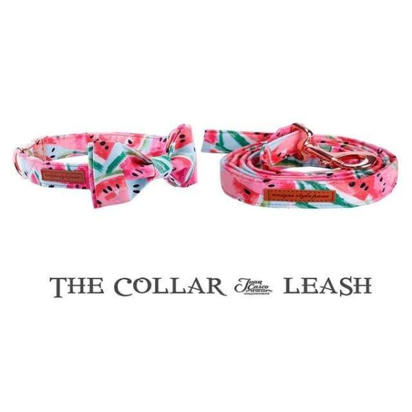 Frenchie World Shop collar bow and leash / S Watermelon Printed Collar, Leash & Bowtie Set