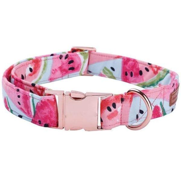 Frenchie World Shop collar / S Watermelon Printed Collar, Leash & Bowtie Set