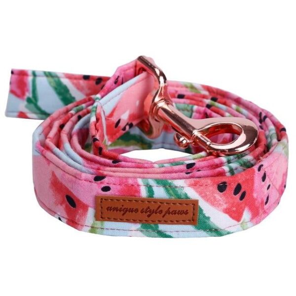 Frenchie World Shop leash / S Watermelon Printed Collar, Leash & Bowtie Set