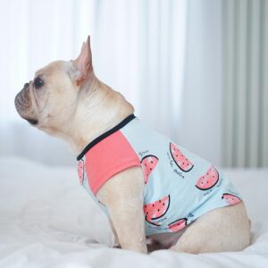 Frenchie World Shop Watermelon Soft Cotton Dog Vest & Skirt