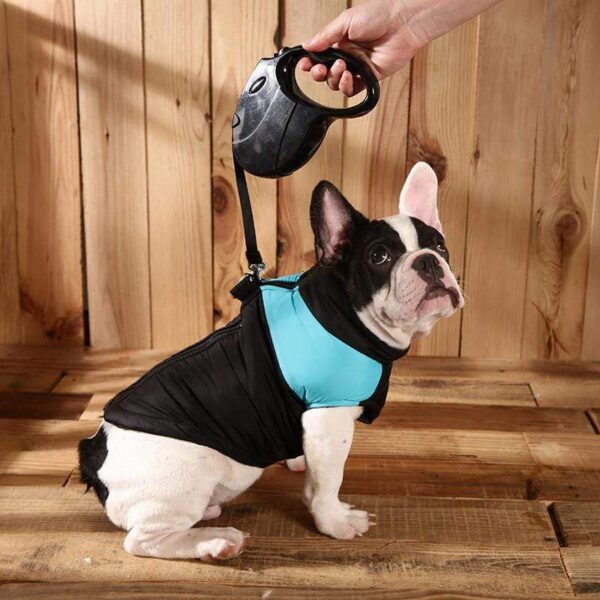 Frenchie World Shop Blue / S Waterproof French Bulldog Vest