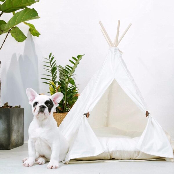 Frenchie World Shop Only Tent / 60X50cm White Frenchie tent (with Cushion )