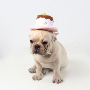 Frenchie World Shop Winter Dog Cake Christmas Birthday Hats Warm Puppy Hat Cap For Puppy Dog Cat Xmas Supplies Cat Dog Accessories For Small Dogs