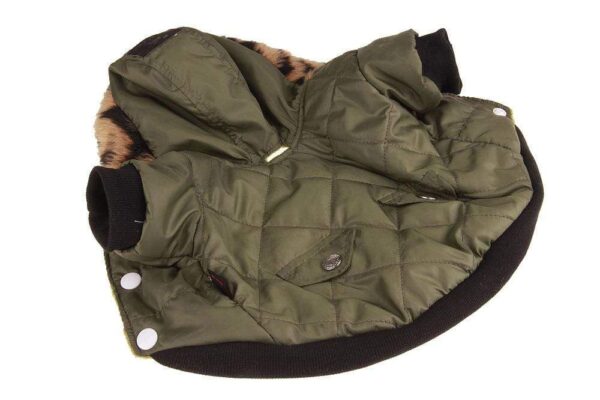 Frenchie World Shop Winter Hooded Jacket