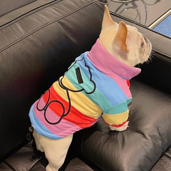 Frenchie World Shop Winter Pet Dog Thick Clothes for Small Dogs Clothing French Bulldog Warm Rainbow Cotton Jacket for Yorkies Outfit Pug Costume