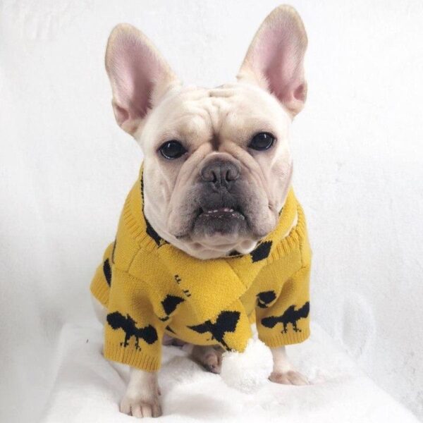 Frenchie World Shop Winter Sweater With Matching Scarf