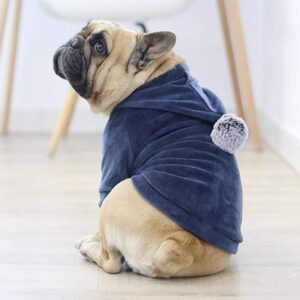 Frenchie World Shop Winter Velour Pom Hoodie