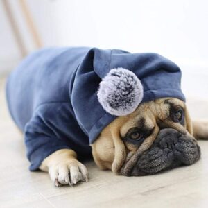 Frenchie World Shop Winter Velour Pom Hoodie