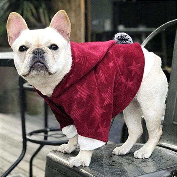 Frenchie World Shop Red / S Wizard Style Cloak Hoodie