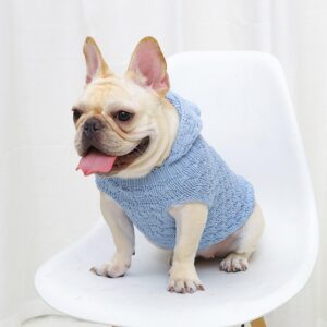 French bulldog hot and cold weather: mood changes in the dog