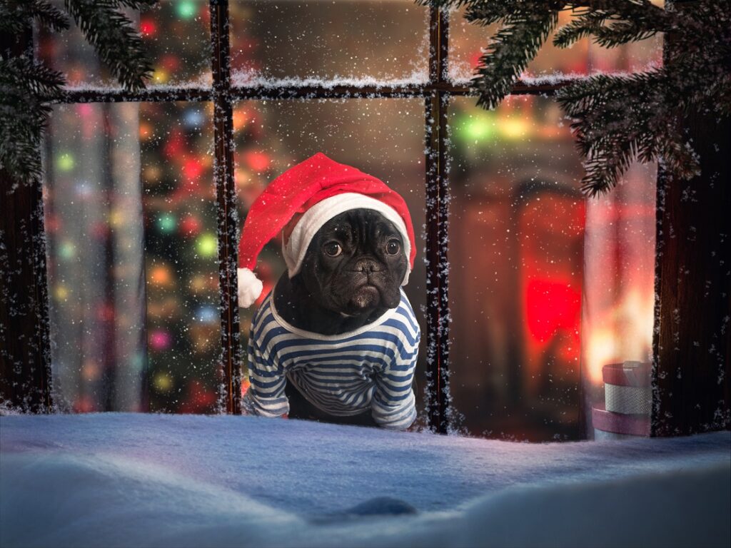 French bulldog christmas decorations: Best picks