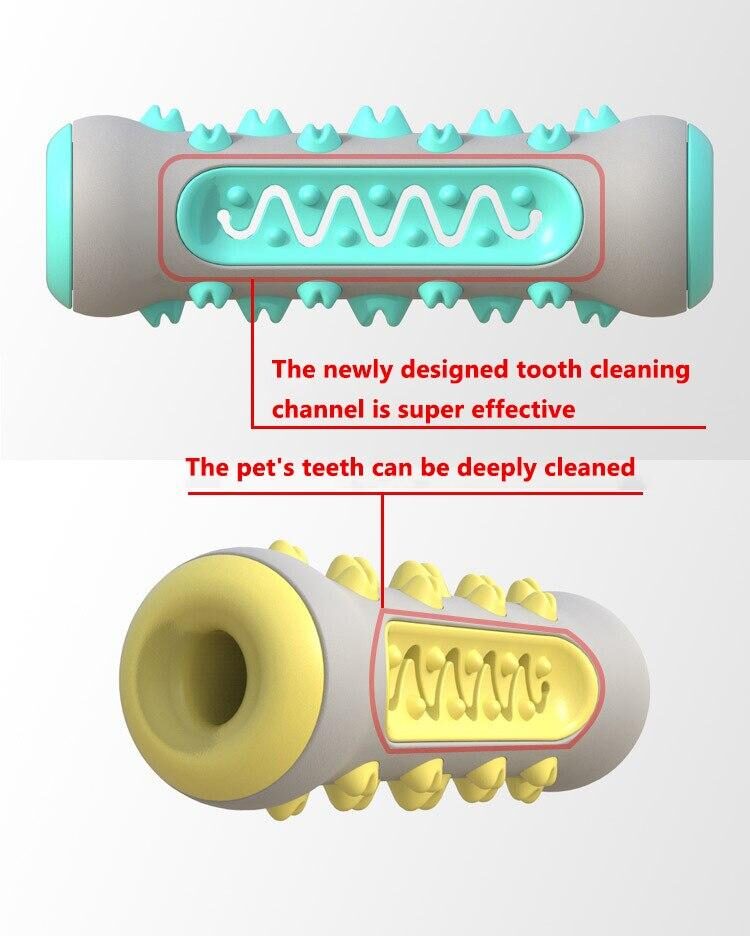 Bone toothbrush toy