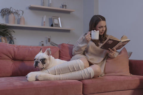 French bulldog and a woman laying on the sofa