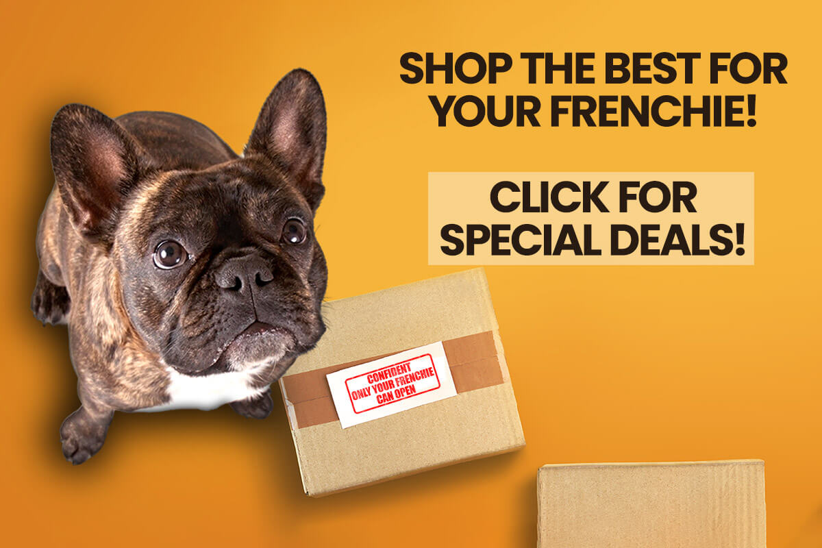 Orange shop banner with brown French bulldog and call to action for shop visit