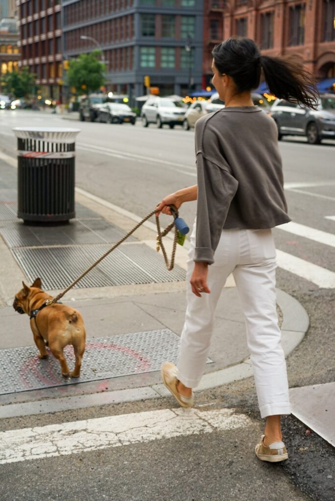 French Bulldog Potty Training