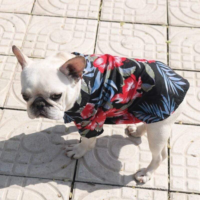 floral-beach-french-bulldog-shirt-frenchie-world-shop-31024156246165-5252756