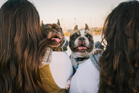 Two girls holding French bulldogs with bead turned back