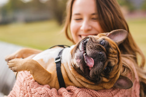 Smiling women holding red fawn French bulldog in her hands