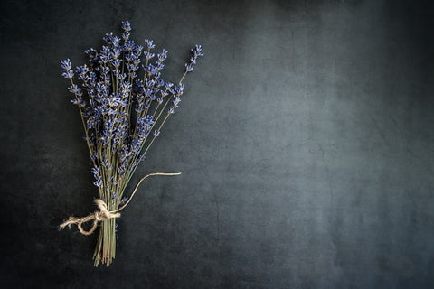 Lavender flowers on the gray background