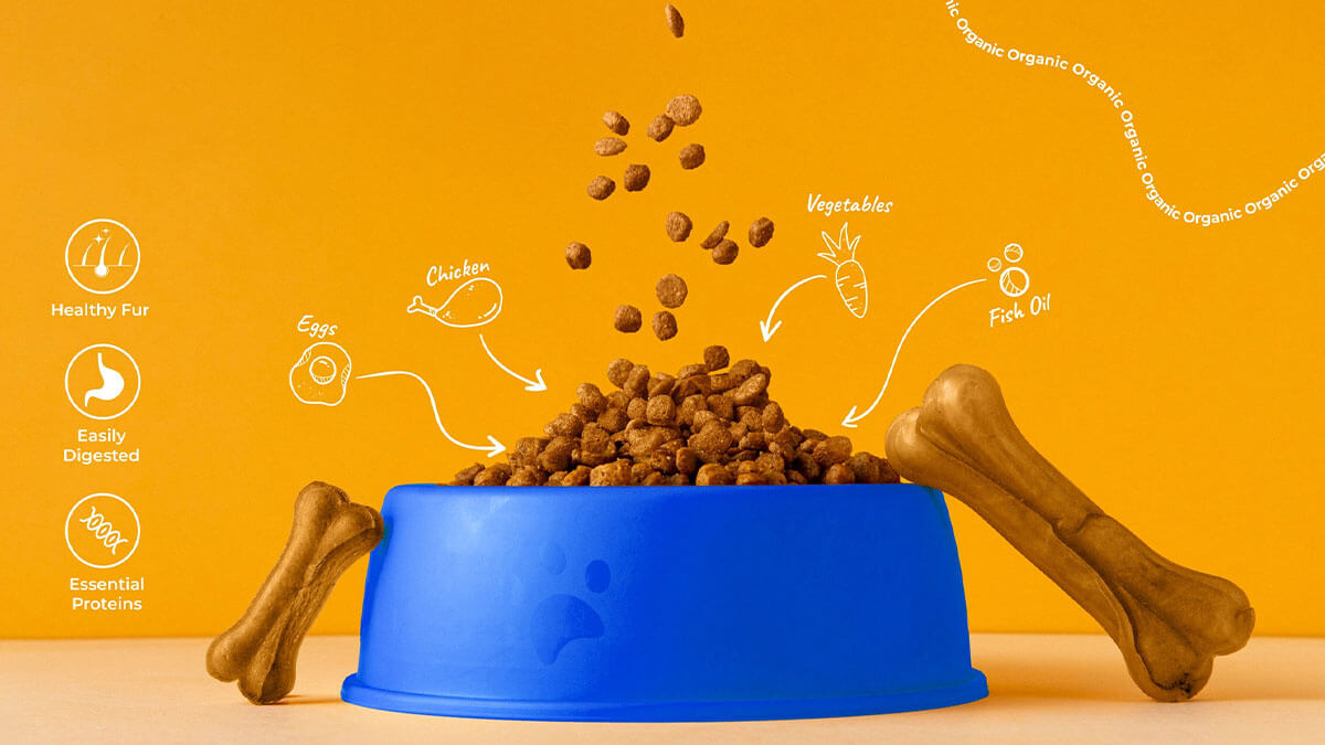 Best dry dog food flying out of feeding bowl