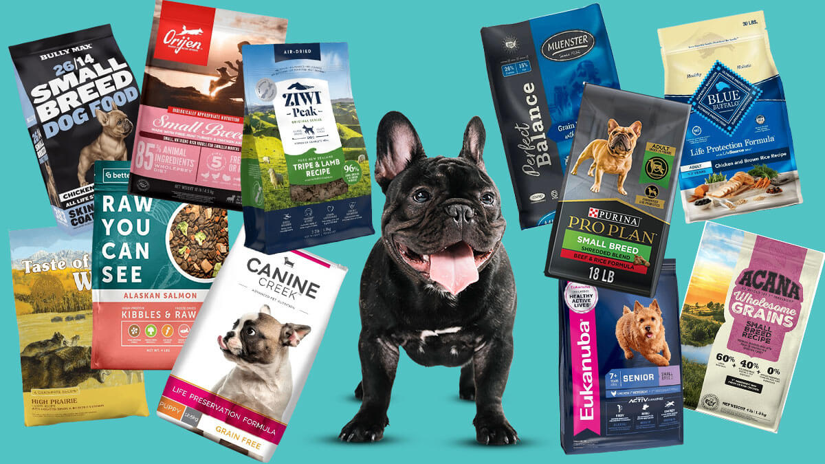 Black French bulldog surrounded with bags of best dry dog foods brands