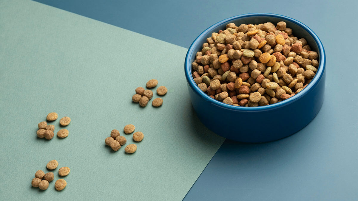 Bowl with dry dog food in it and on the green table