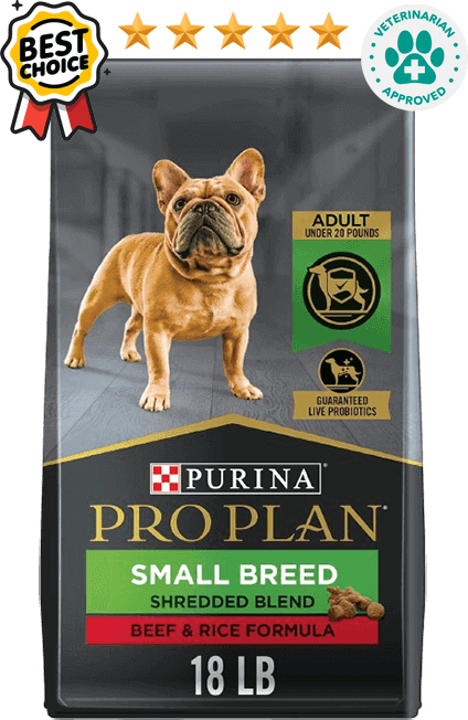 best overall dry dog food Purina